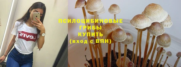 соль курить ск Богданович