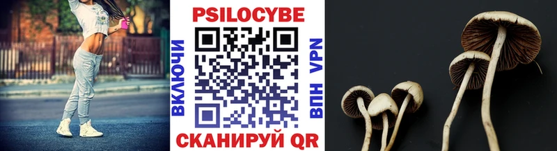 Псилоцибиновые грибы мухоморы  Дивногорск 